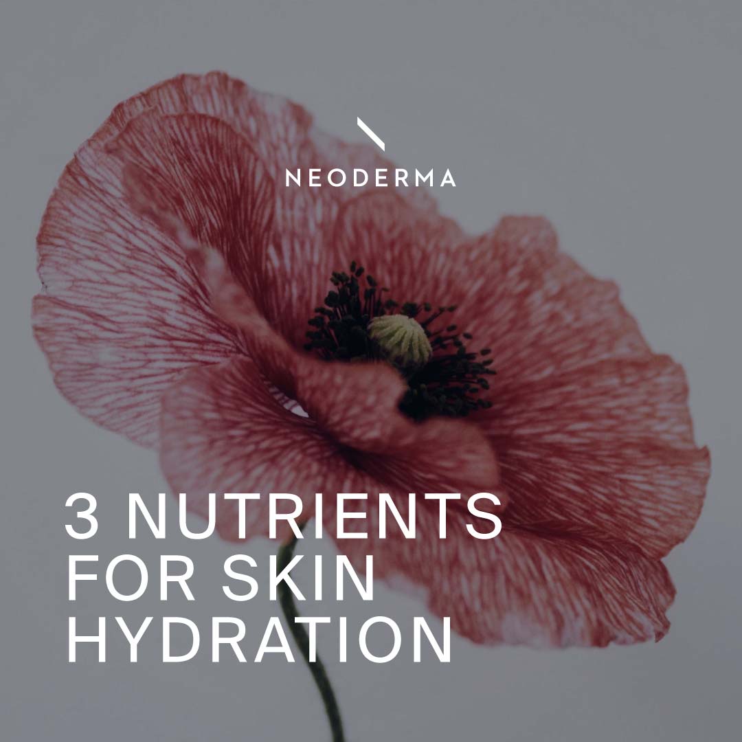 3 Nutrients for Skin Hydration