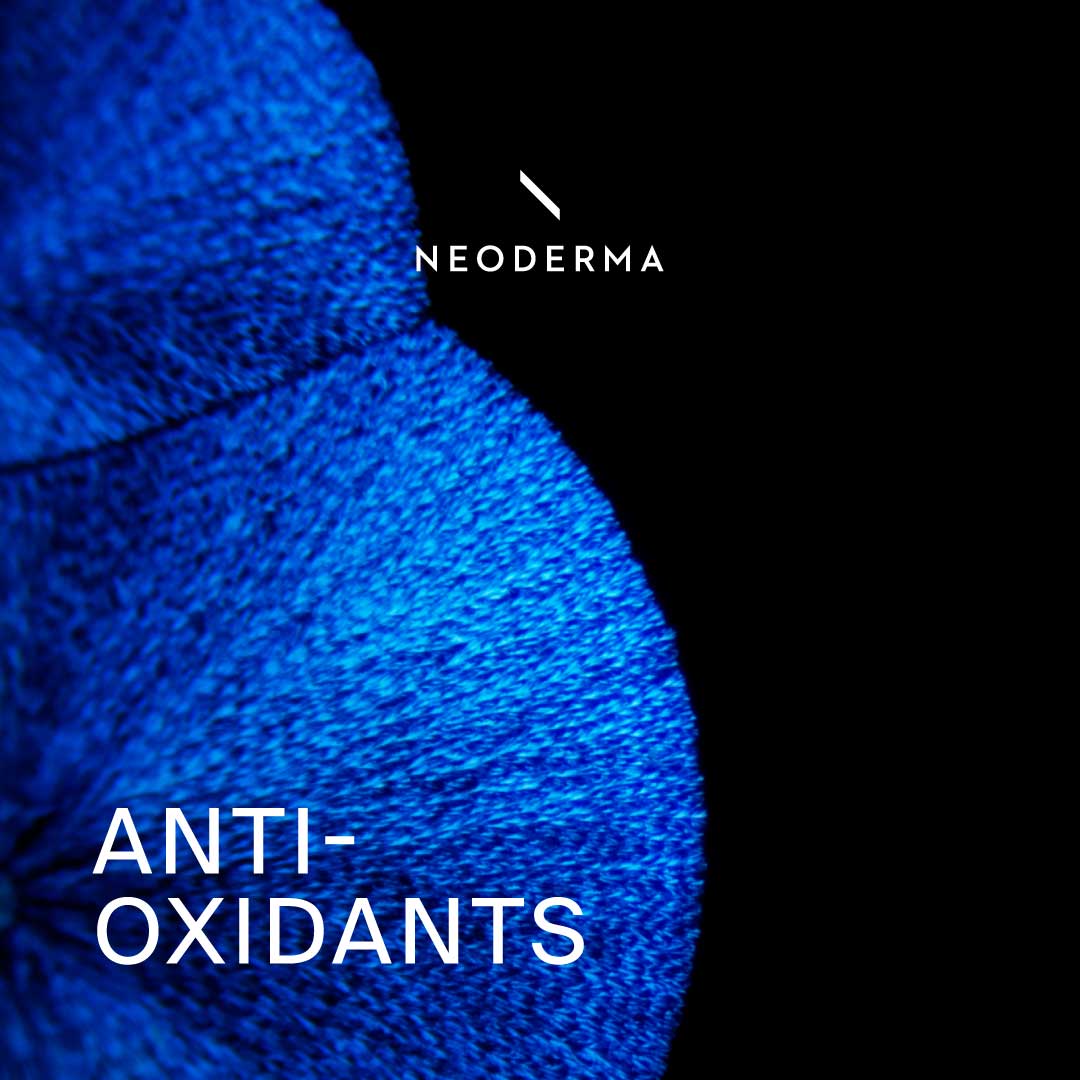 Antioxidants