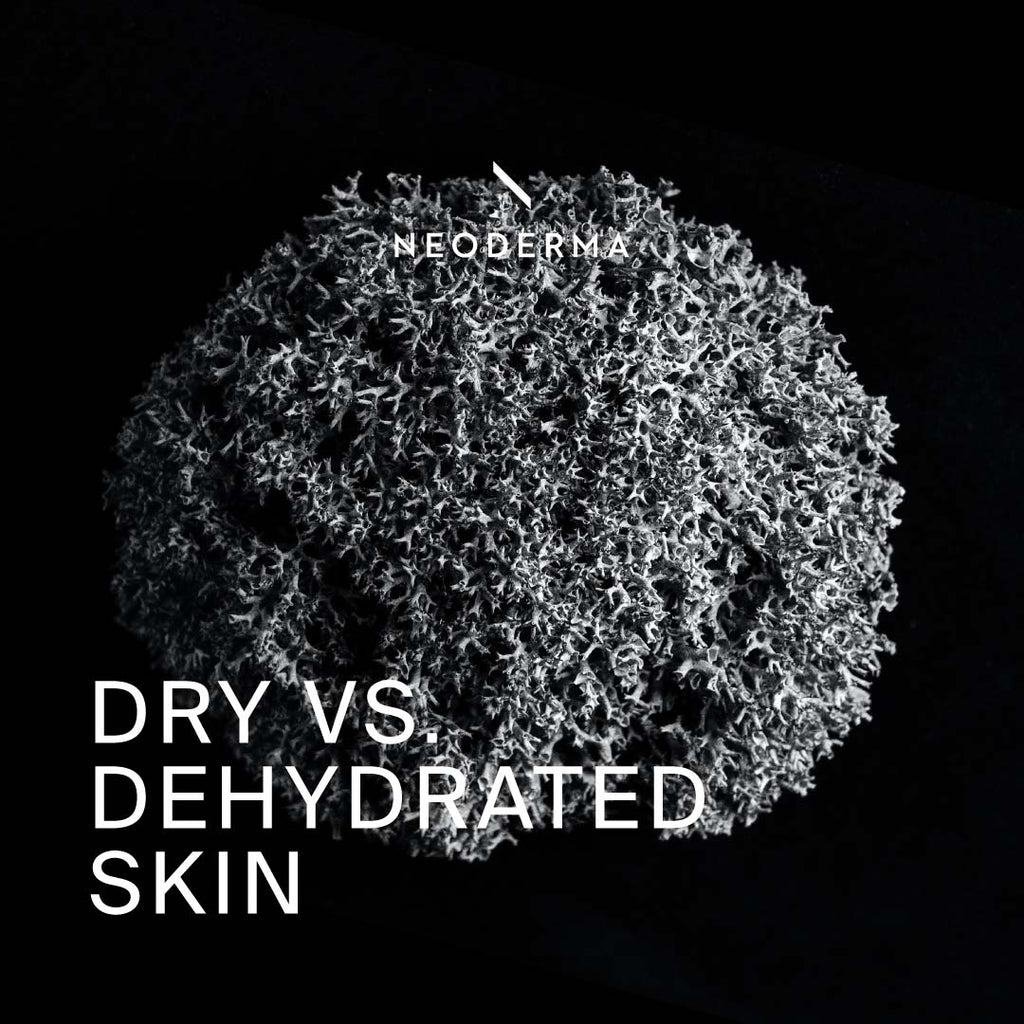 Dry Vs. Dehydrated Skin