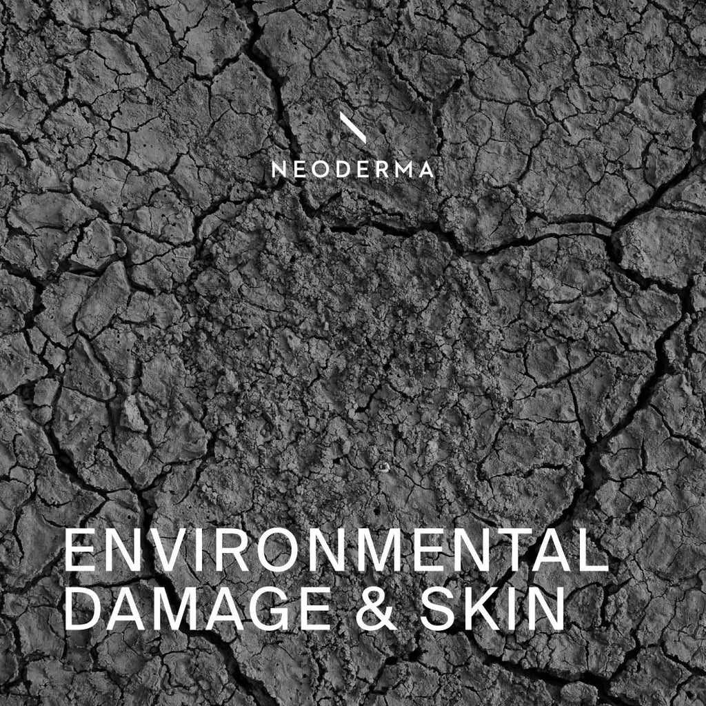 Environmental Damage & Skin