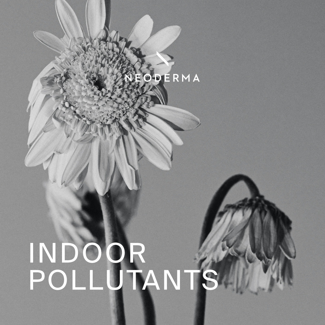 Indoor Pollutants