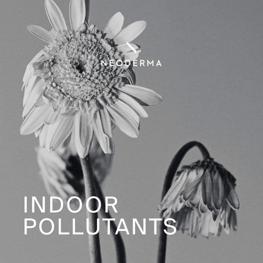 Indoor Pollutants