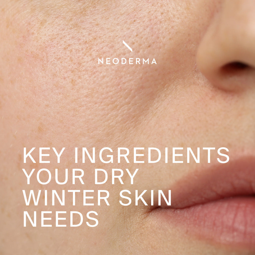 Key Ingredients Your Dry Winter Skin Needs