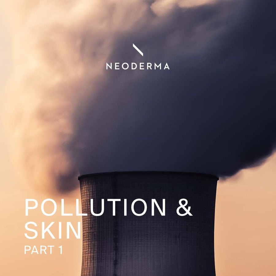 Pollution & Skin