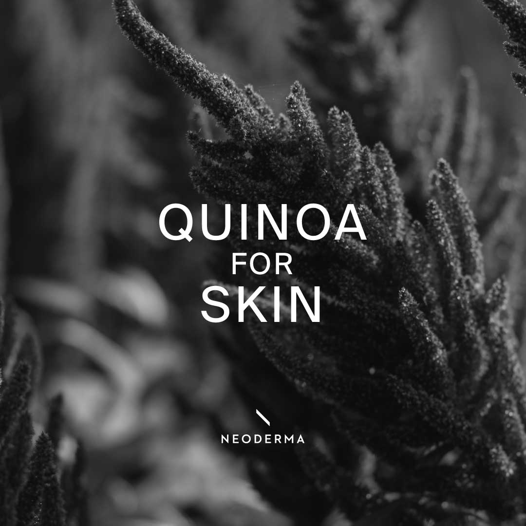 Quinoa for Skin
