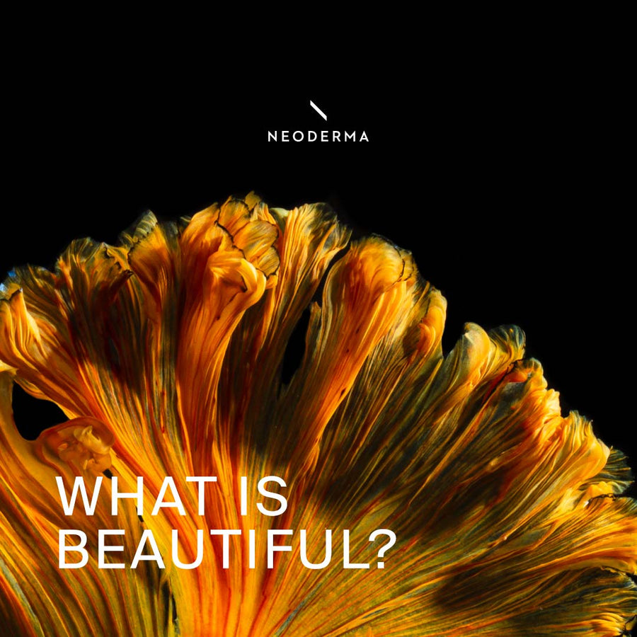What is Beautiful?