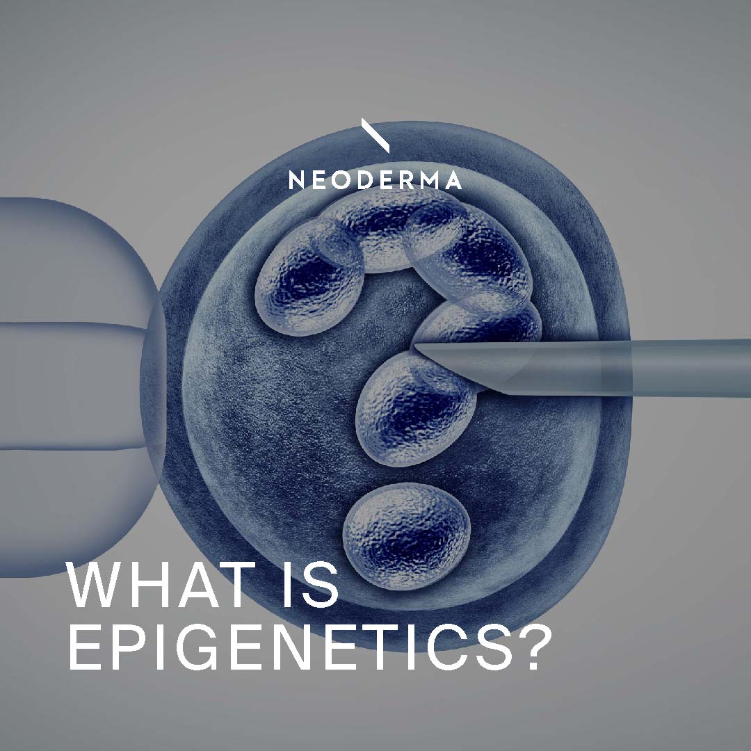 What is Epigenetics?